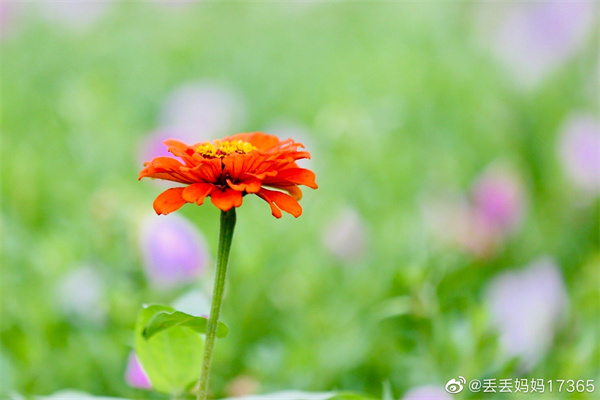 【圖說淮南】——今日芒種，愿你“芒”有所獲，“種”有所得