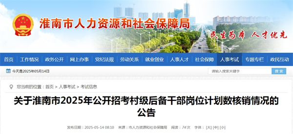 關(guān)于淮南市2025年公開(kāi)招考村級(jí)后備干部崗位計(jì)劃數(shù)核銷(xiāo)情況的公告